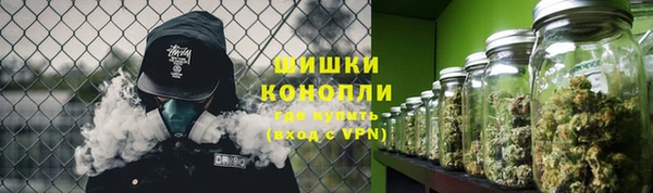 прущие крисы Магас